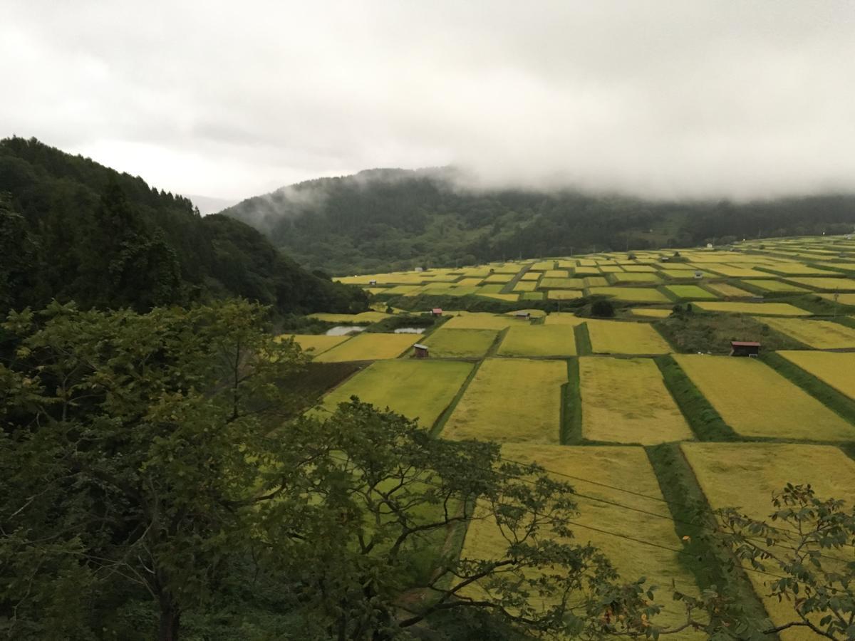 伊丽莎白酒店 野沢 外观 照片